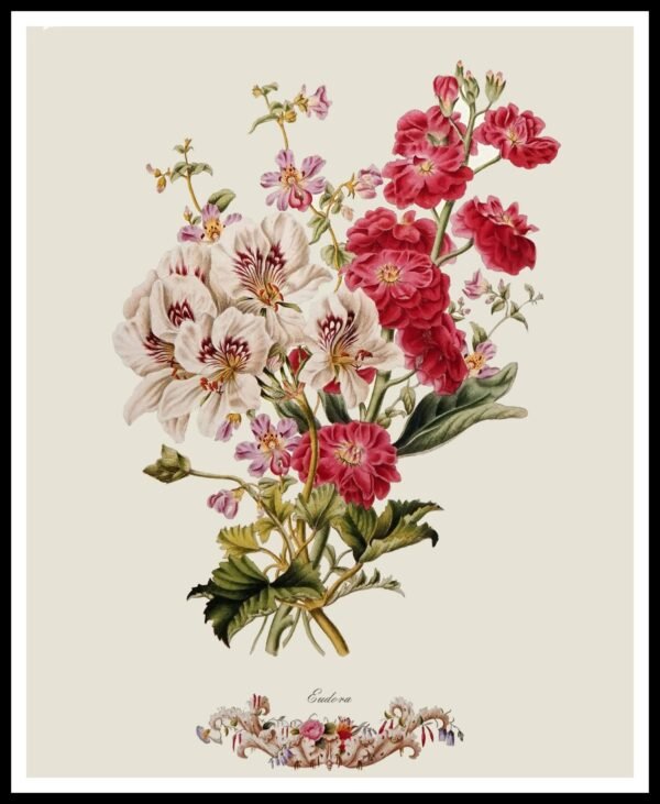 PTR JA02 Eudora (Antique Prints)